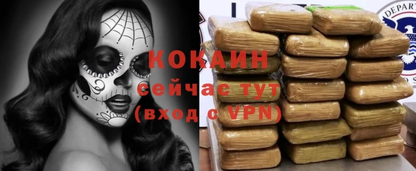 винт Костерёво