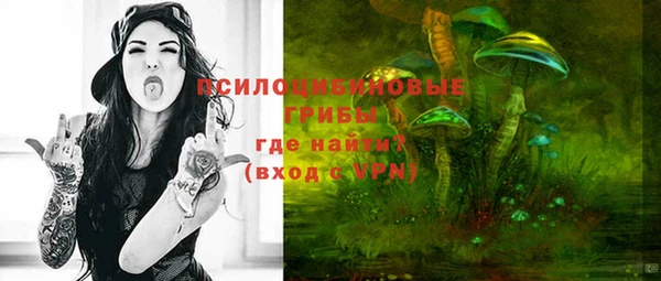 круглые Козловка