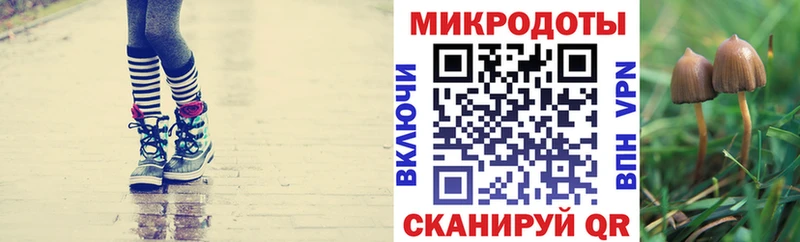 Псилоцибиновые грибы ЛСД  Купить закладки  Богородск 