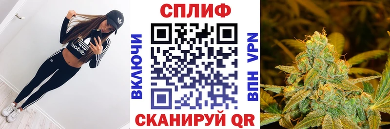 Купить где Богородск Канабис семена